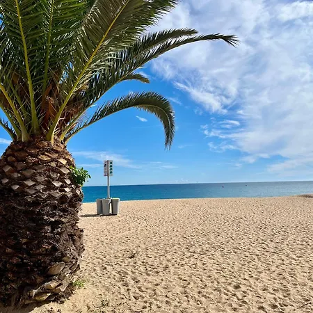 Cloud 14 بلاتجا ذارو